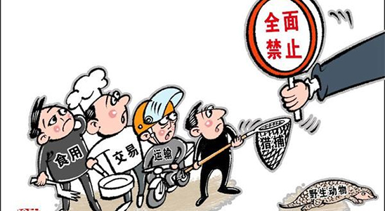 遇到不认识的野生动物怎么办？千万不要伤害